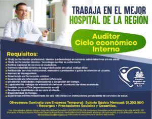 REQUERIMOS AUDITOR CICLO ECONOMICO INTERNO