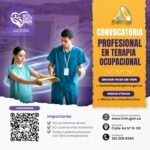 PROFESIONAL EN TERAPIA OCUPACIONAL
